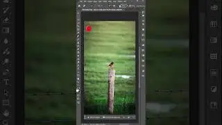 Remove Wires and Cables Easily in Adobe Photoshop 2025 | Quick Tutorial