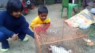 সৃষ্টির দুষ্টুমী মেনে নেওয়ার মত নয়।
