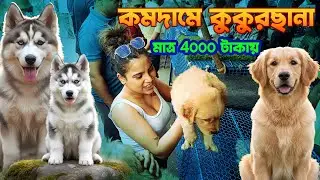 Kolkata Pet Market | All Dog Breed Avilable | Serampore Pet Market | Kolkata Price