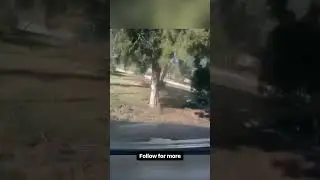 Foolish Driver Destroys Car by Taking a Wrong Turn!