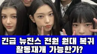 긴급  뉴진스 전원 복귀 !  제리꽁 인터뷰  뉴진스 활동 가능할까? 