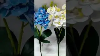 VAI CUIDAR DE PLANTAS #plantas #memes #shortvideo #plant #motivation #natureza #flores ldk
