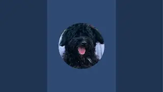 OUTSIDE STREAM + TALKING ABOUT FACE REVEAL AND FUTURE UPCOMI CONTENT AND ALSO SUBSCRIBE