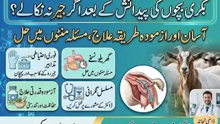 Placenta in goats and easy solution| Bakri ki jair nakalnay ka formula | Retained placenta in goats