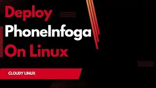 How To Get Install PhoneInfoga On Linux With A Zero-Dollar Budget