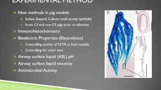 Electrolyte Transport and Cystic Fibrosis - Tim Stead