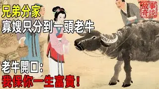 兄弟分家，寡嫂只分到一頭老牛，老牛開口：我保你一生富貴！「故事奇談」#故事#民间故事#故事会#民間故事#故事會#温馨故事#民间传统故事