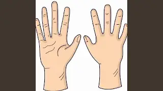 56 Hands
