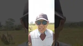 Practicing English Speaking : Finding Language Partners