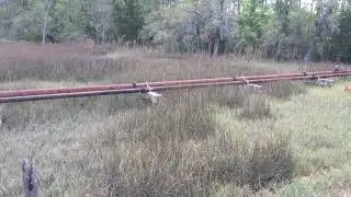 The West Ashley Greenway Before Paving Began April 13 2017 [4K]