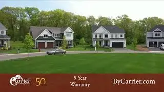 By Carrier: The  By Carrier Difference