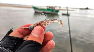 O QUE ESSA ISCA FAZ &Eacute; PRA PESCADOR ENDOIDAR... SHAD BRAAAABO! Pescaria Ultralight
