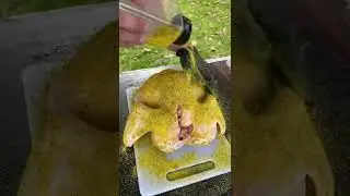 smoked  lemon  paper chicken 🍗 #villagecookingchannel