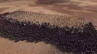 Ultimate Epic Battle Simulator II (W. CUP TOURNAMENT)