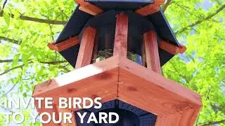 Amish Made Cedar & Recycled Plastic Gazebo Feeder, Blue