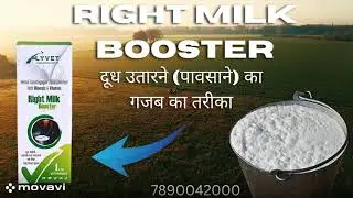 Right Milk Booster