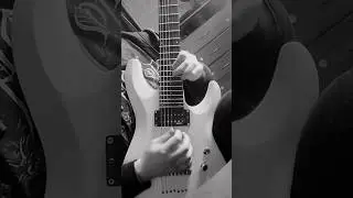 Christian M&uuml;nzner // Nocturne || Guitar Cover #metal #guitarist #solo #necrophagist #metalfans