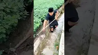 Clearing Silt and Weeds: Ensuring Smooth Water Flow in Irrigation Canals
