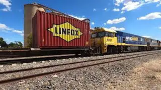 NR8 & NR21 at Condobolin NSW.  Fri 31st Dec 2021
