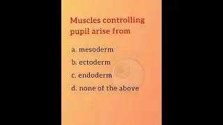 Muscles controlling pupil arise from.... Ophthalmology and Optometry MCQ