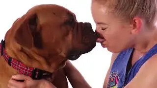 Adopt Vanessa at NKLA