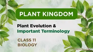Plant Evolution and Important Terminology | Plant Kingdom | Class 11 NCERT Biology | NEET/AIIMS Prep