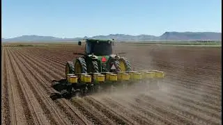 Planting cotton in the northern desert of Mexico