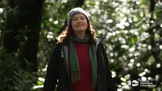 The Art of Forest Bathing Pt 1 &ndash; Natural resources