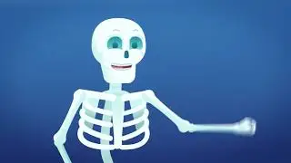 Delaware Orthopedic