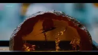 Nemo TV &ndash; Мир Юрского периода