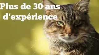 Conditionneuses pour aliments pour animaux