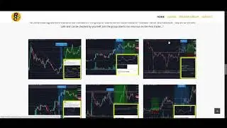 10X Altcoin Season 2021!