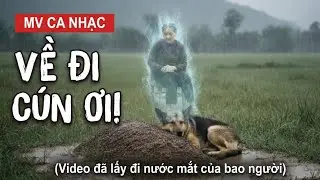Mv ca nhạc VỀ ĐI CÚN ƠI. Video đã lấy đi nước mắt của bao người)