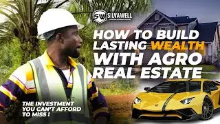 How to Build Lasting Wealth with Oil Palm Agro Real Estate #sustainablepalmoil #farming #silvawell