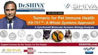 Dr.SHIVA&trade;: Turmeric for Pet Joint Health K9-701 (02/24)