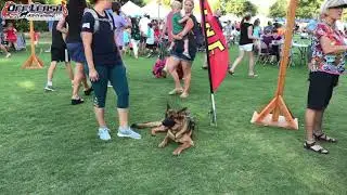 Nala Showing Off! | No Leash Needed! | OffLeashGeorgia.com