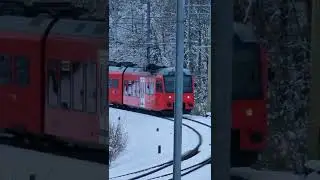 Swiss Railways - Zurich | ZVV - SBB, Switzerland | Europe