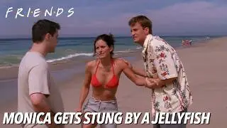Monica Gets Stung by a Jellyfish | FRIENDS