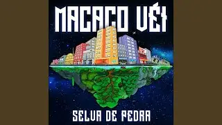 Soul Macaco