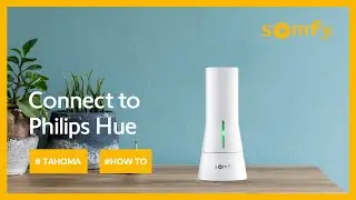 TaHoma&reg; How To Connect to Philips Hue