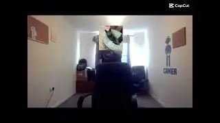 My cat to me yes it is true 