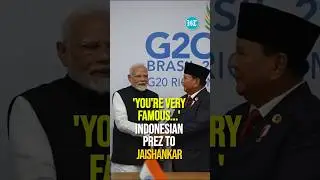 Indonesian President Prabowo Recognizes EAM Dr. Jaishankar at Brazil G20 Summit