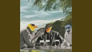 A Medley of Sentiment