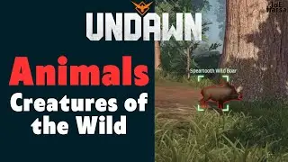 Animals Undawn Creatures of the Wild