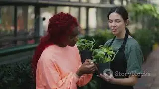 Mastering Citronella Plant Care- Tips & Tricks