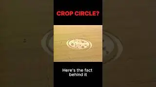 The Truth Behind Crop Circles | Alien Evidence or Human Creation?