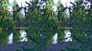 RIJEKA UKRINA 2007. - SELO LUŽANI 3D