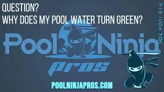 Why does my pool water turn green? Pool Ninja Pros