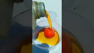 Can tomatoes be preserved in engine oil? 🤔  #dkcrezyscience