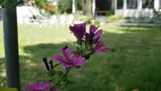 Eagle Nest Resort Chitral | One of the most beautiful tourist destination in Chitral.